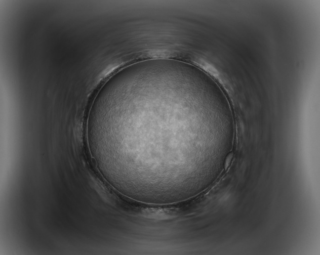 X0000084530297200703021427