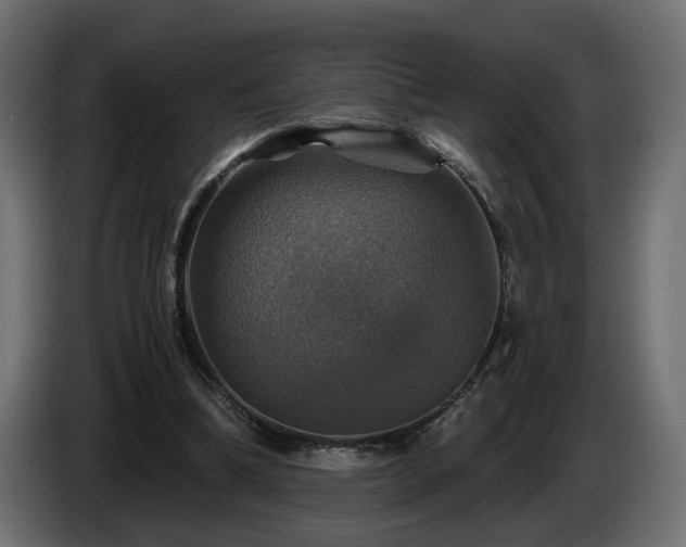 X0000084530298200703021427