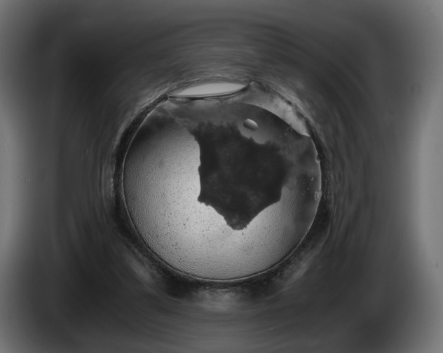 X0000084530299200703021427