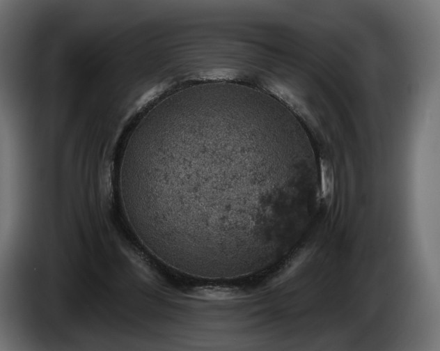 X0000084530300200703021427