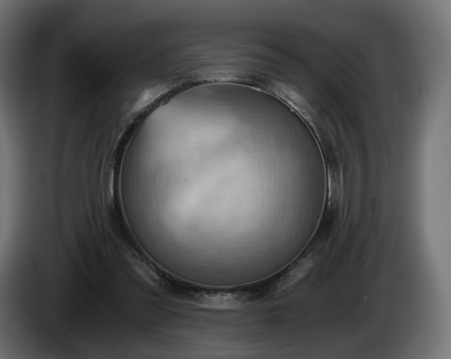 X0000084530301200703021427