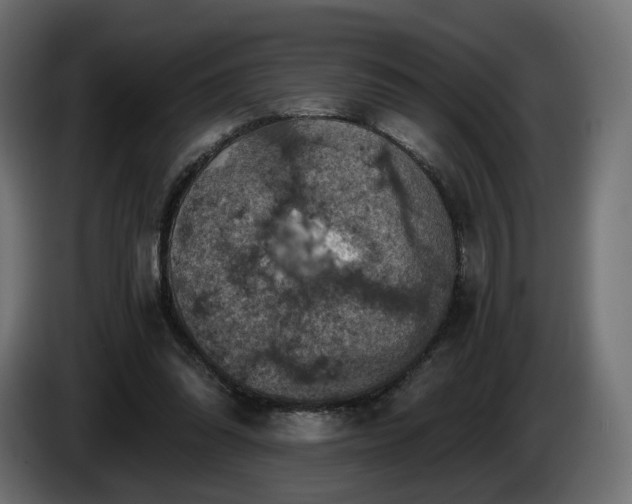 X0000084530302200703021427