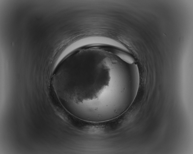 X0000084530303200703021427