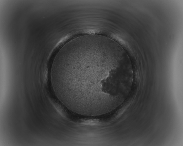 X0000084530304200703021427