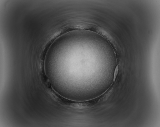 X0000084530305200703021427