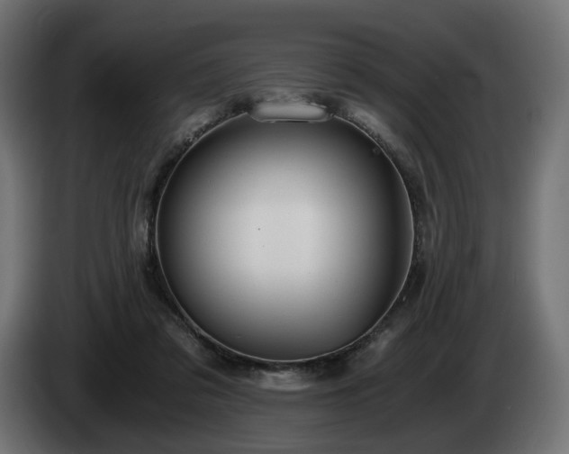 X0000084530309200703021427