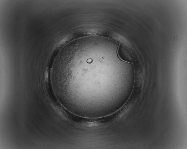 X0000084530310200703021427