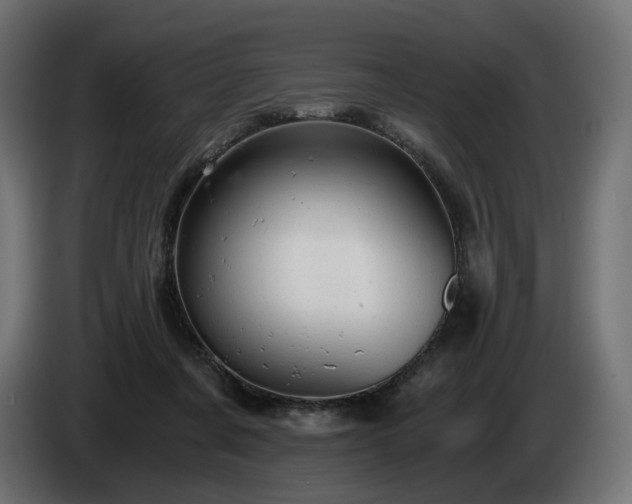 X0000084530311200703021427