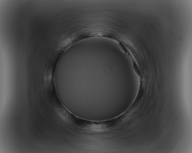 X0000084530314200703021427