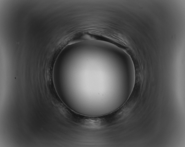 X0000084530317200703021427