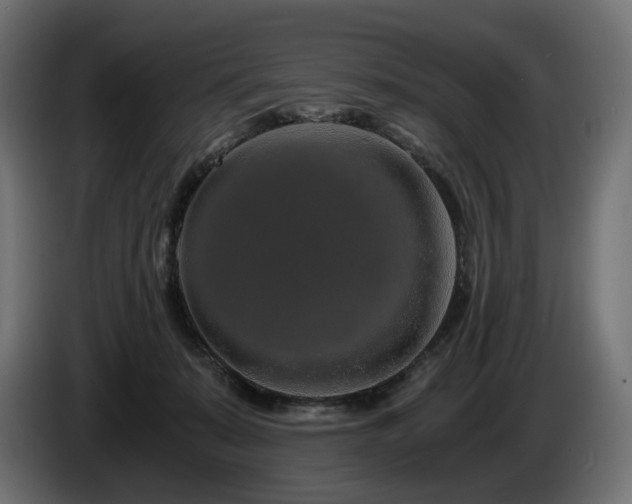 X0000084530319200703021427