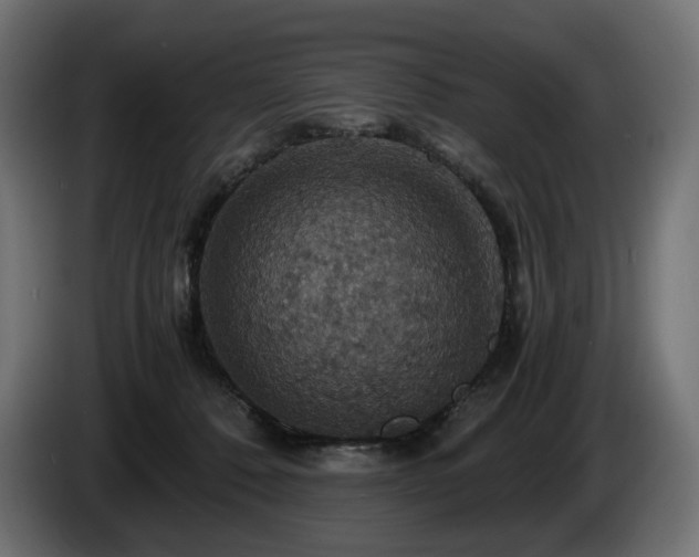 X0000084530320200703021427