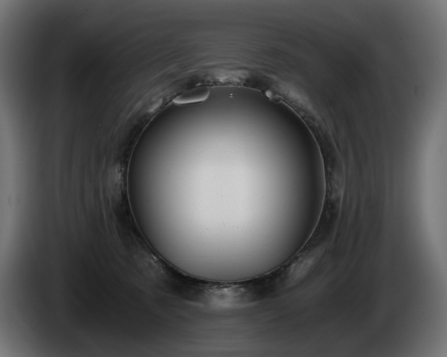 X0000084530321200703021427