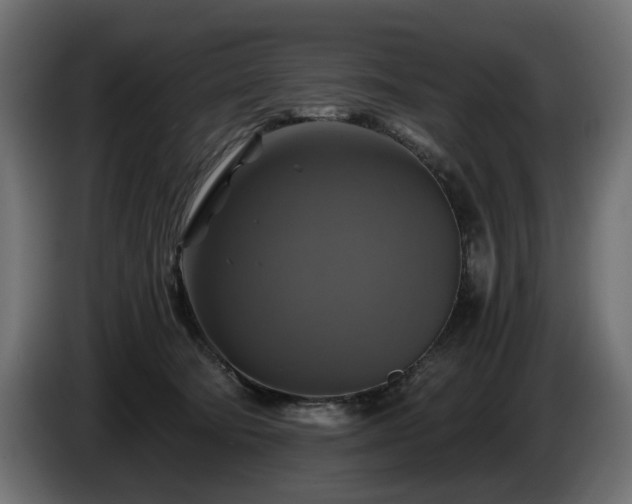 X0000084530322200703021427