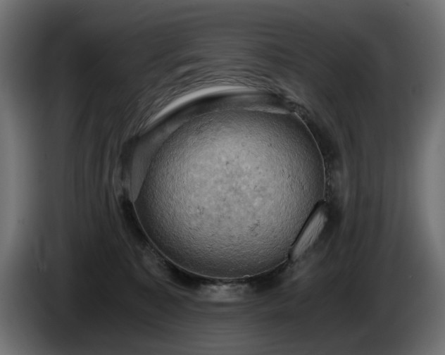 X0000084530323200703021427