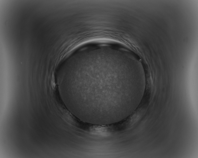 X0000084530325200703021427