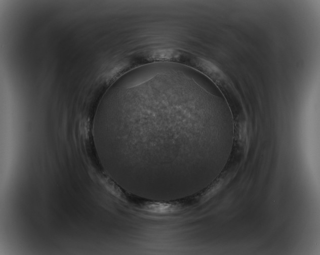 X0000084530326200703021427