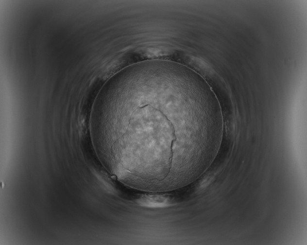 X0000084530327200703021427