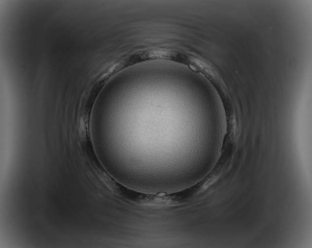 X0000084530329200703021427