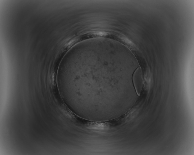 X0000084530330200703021427