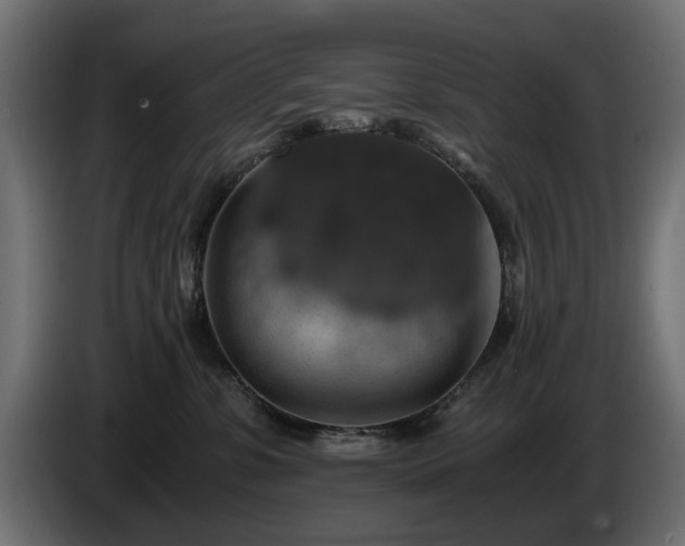 X0000084530331200703021427
