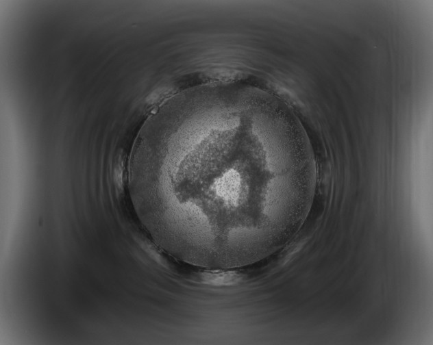 X0000084530334200703021427