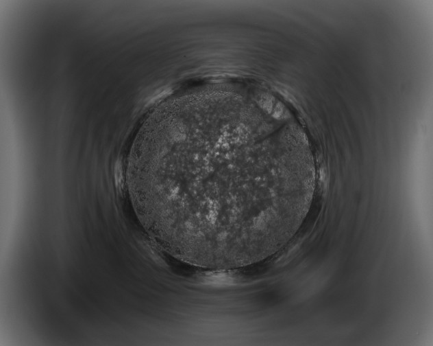 X0000084530335200703021427