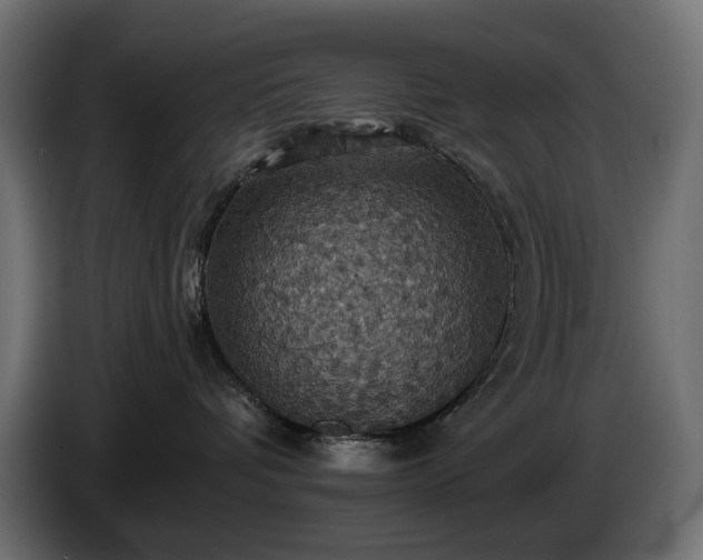 X0000084530336200703021427