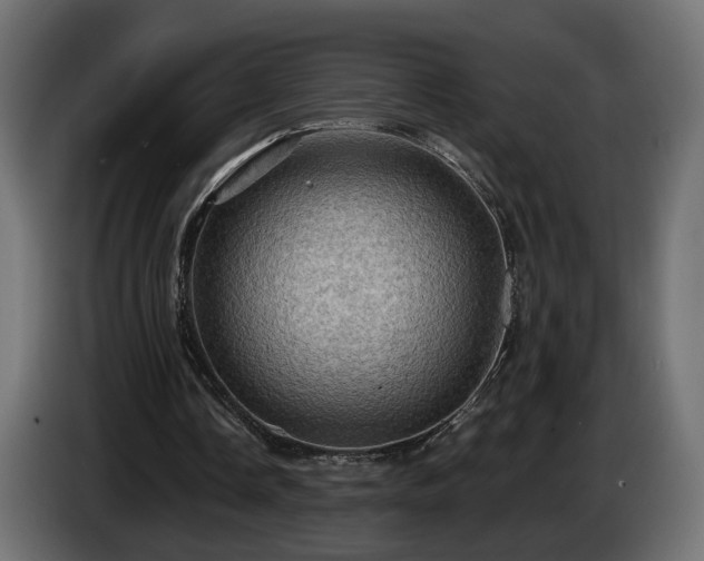 X0000084530338200703021426