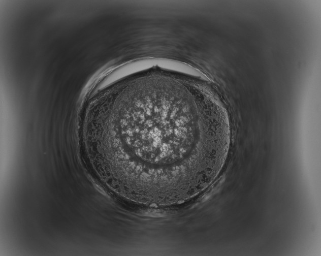 X0000084530341200703021426