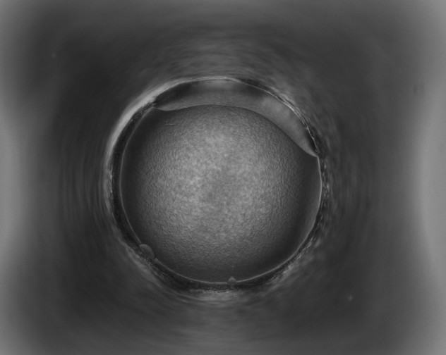 X0000084530342200703021426