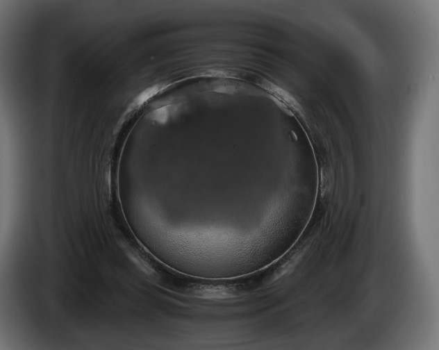 X0000084530349200703021426