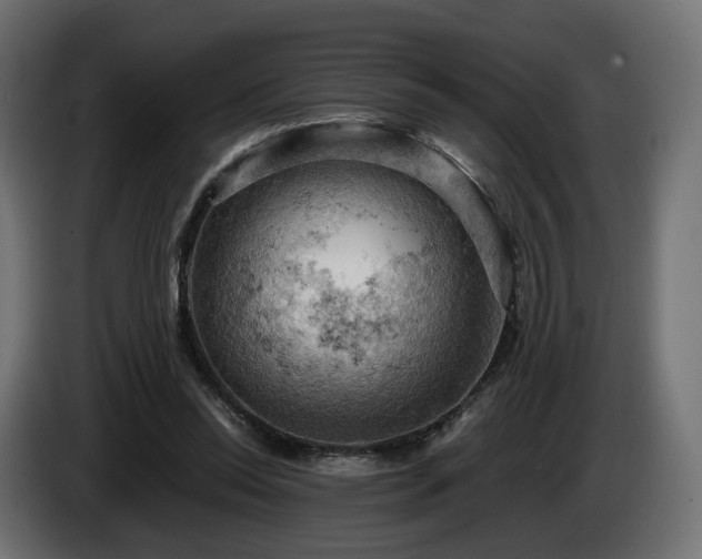 X0000084530350200703021426