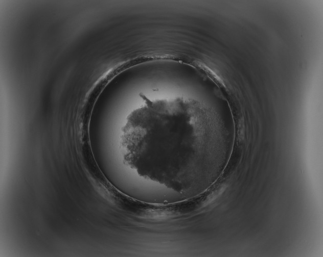 X0000084530351200703021426
