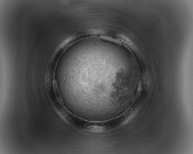 X0000084530352200703021426