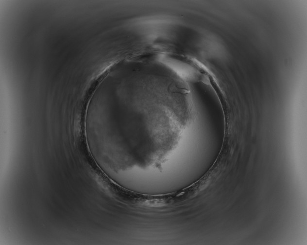 X0000084530353200703021426