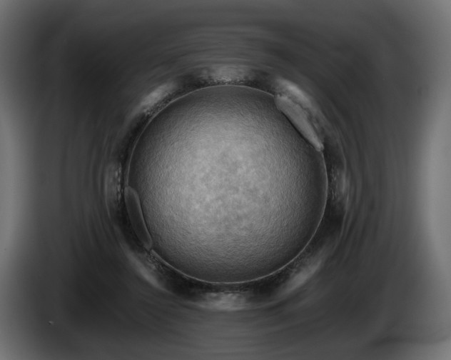 X0000084530356200703021426