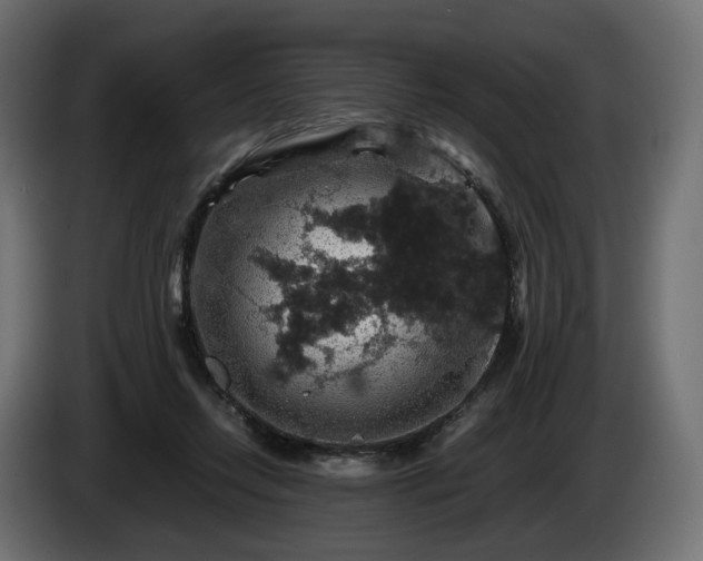 X0000084530358200703021426