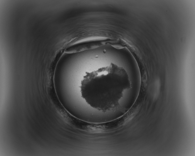 X0000084530359200703021426