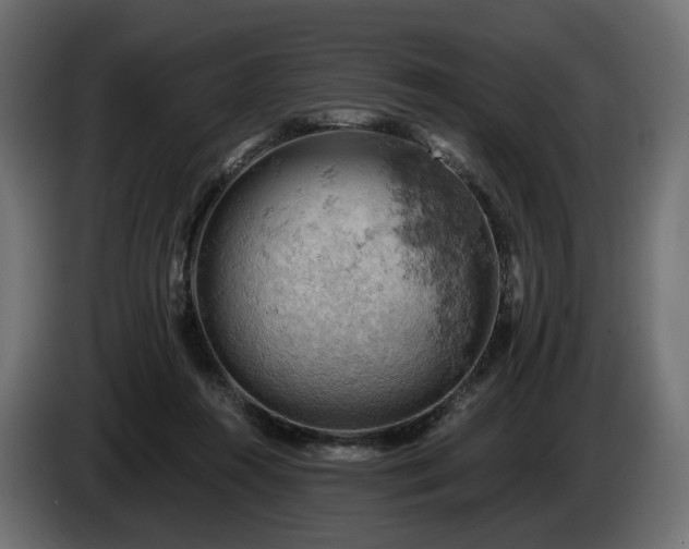 X0000084530360200703021426
