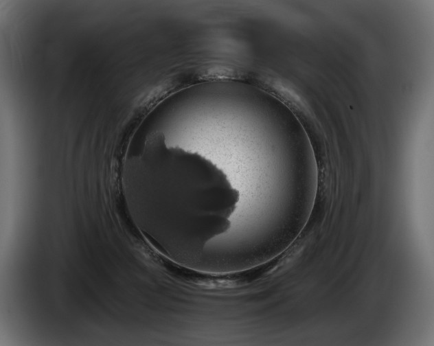 X0000084530361200703021426