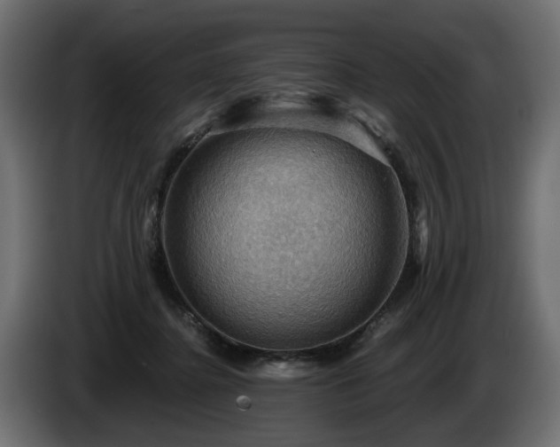 X0000084530364200703021426