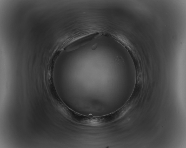 X0000084530365200703021426