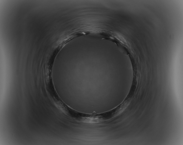 X0000084530366200703021426