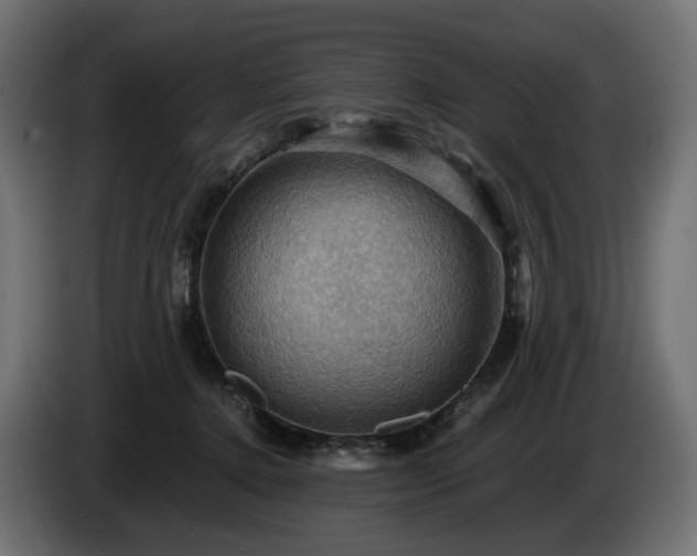 X0000084530368200703021426