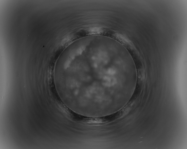 X0000084530369200703021426