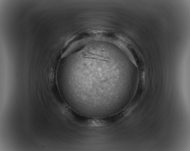 X0000084530372200703021426