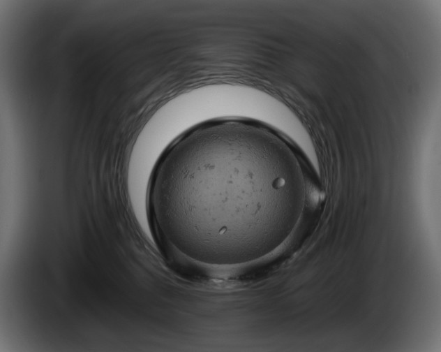 X0000084530376200703021426