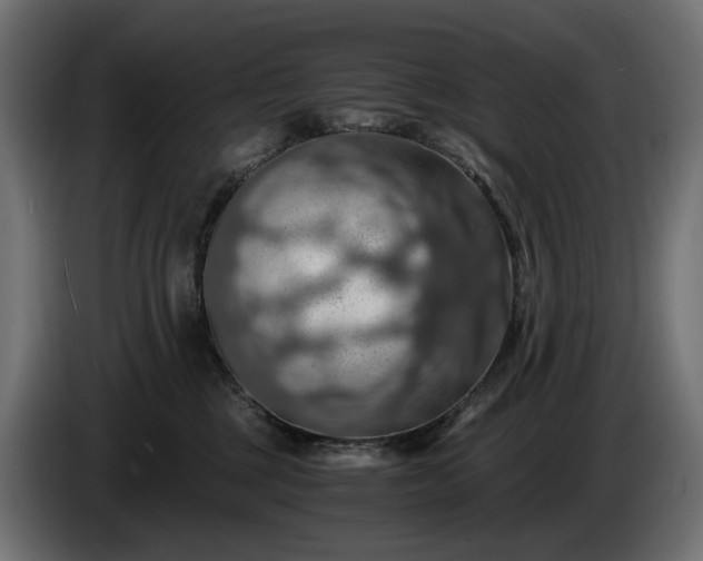 X0000084530377200703021426