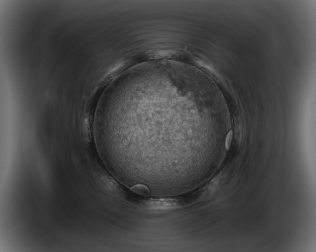 X0000084530378200703021426